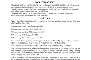 Quyết định 41/2005/QĐ-BNV Tiêu chuẩn nghiệp vụ ngạch viên chức y tế điều dưỡng