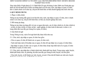 Thông tư 46/2005/TT-BNV hướng dẫn quản lý tài liệu chia tách sáp nhập cơ quan tổ chức đơn vị hành chính tổ chức lại chuyển đổi hình thức SH DNNN