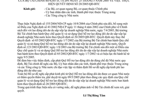 Công văn 6265/TC-TCDN thực hiện QĐ 20/2005/QĐ-BTC