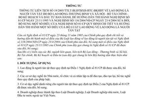 Thông tư liên tịch 19/2005/TTLT-BLĐTBXH-BTC-BKHĐT lao động là người tàn tật hướng dẫn Nghị định số 81/CP Nghị định số 116/2004/NĐ-CP