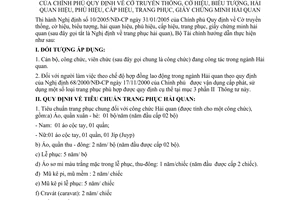 Thông tư 41/2005/TT-BTC cờ truyền thống cờ hiệu biểu tượng hải quan hiệu phù hiệu cấp hiệu trang phục giấy CM hải quan hướng dẫn 10/2005/NĐ-CP