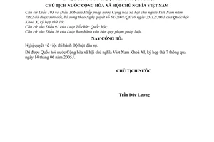 Lệnh công bố Nghị quyết  thi hành Bộ luật dân sự  07/2005/L-CTN