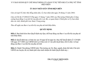 Quyết định 14/2005/QĐ-UBND Quy chế hoạt động Ban vì sự tiến bộ Phụ nữ Điện Biên