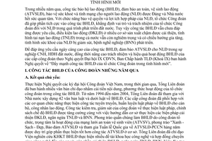 Nghị quyết 5B/NQ-BCH đẩy mạnh công tác bảo hộ lao động của tổ chức công đoàn trong tình hình mới