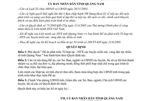 Quyết định 51/2005/QĐ-UB phát triển Tổ hợp tác Hợp tác xã miền núi dân tộc thiểu số Quảng Nam