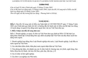 Nghị định 93/2005/NĐ-CP tuyển dụng và quản lý lao động nước ngoài làm việc tại Việt nam bổ sung NĐ 105/2003/NĐ-CP Hướng dẫn thi hành Luật lao động
