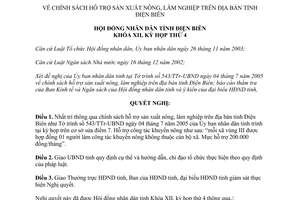 Nghị quyết 31/2005/NQ-HĐND chính sách hỗ trợ sản xuất nông lâm nghiệp Điện Biên