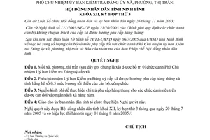 Nghị quyết 01/2005/NQ-HĐND bổ sung cán bộ mức phụ cấp Phó Chủ nhiệm Ủy ban kiểm tra Đảng ủy Ninh Bình