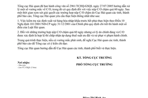 Công văn 3424/TCHQ-GSQL xử lý C/O nộp chậm