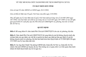 Quyết định 95/2005/QĐ-UBND bổ sung chức Phó Chủ tịch Ủy ban Mặt trận Tổ quốc Việt Nam cấp xã Bình Phước