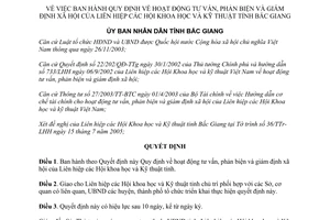 Quyết định 63/2005/QĐ-UB hoạt động giám định xã hội của Liên hiệp các Hội Khoa học Kỹ thuật Bắc Giang