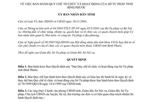 Quyết định 96/2005/QĐ-UBND Quy chế tổ chức hoạt động Sở Tư pháp Bình Phước