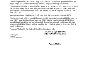 Công văn 3130/TCT-DNNN thuế giá trị gia tăng của sản phẩm quặng êmênhít