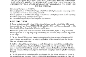 Thông tư 73/2005/TT-BTC điều kiện đăng ký hoạt động đại lý làm thủ tục hải quan hướng dẫn thực hiện nghị định 79/2005/NĐ-CP