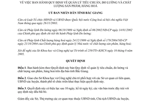 Quyết định 67/2005/QĐ-UB tiêu chuẩn đo lường chất lượng sản phẩm Bắc Giang