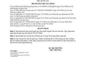 Quyết định 61/2005/QĐ-BTC tiêu chuẩn Bè cứu sinh nhẹ - Quy phạm bảo quản dự trữ quốc gia