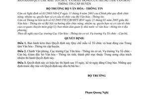 Quyết định 49/2005/QĐ-BVHTT Quy chế mẫu Tổ chức hoạt động Trung tâm Văn hóa - Thông tin cấp huyện