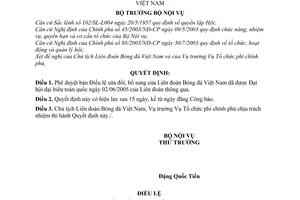 Quyết định 100/2005/QĐ-BNV Điều lệ sửa đổi Liên đoàn Bóng đá Việt Nam