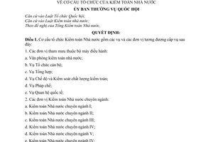 Nghị quyết 916/2005/NQ-UBTVQH11 cơ cấu tổ chức của kiểm toán nhà nước