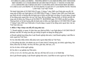 Thông tư 24/2005/TT-BLĐTBXH thi hành Bộ luật Lao động tuyển dụng quản lý lao động nước ngoài làm việc Việt Nam