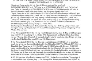 Thông báo 1018/TM-DM tiếp tục cấp visa tự động cat. 647/648 xuất khẩu Hoa Kỳ tháng 11, 12 năm 2005