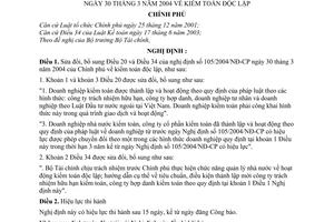 Nghị định 133/2005/NĐ-CP Kiểm toán độc lập sửa đổi Nghị định 105/2004/NĐ-CP