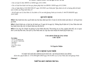 Quyết định 3754/2005/QĐ-UBND Quy định tạm thời chính sách dân số kế hoạch hóa