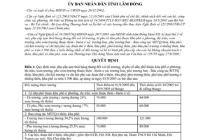 Quyết định 201/2005/QĐ-UBND quy định tạm thời mức phụ cấp cán bộ không chuyên trách Lâm Đồng