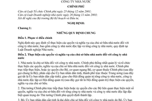 Nghị định 132/2005/NĐ-CP thực hiện quyền nghĩa vụ chủ sở hữu nhà nước đối với công ty nhà nước