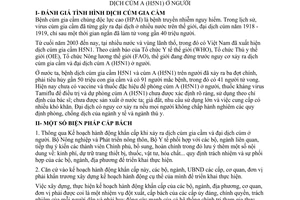 Nghị quyết 15/2005/NQ-CP biện pháp cấp bách ngăn chặn dịch cúm gia cầm (H5N1) và đại dịch cúm A (H5N1) ở người