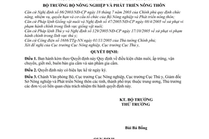 Quyết định 3065/QĐ-BNN-NN điều kiện chăn nuôi, ấp trứng, vận chuyển, giết mổ, buôn bán gia cầm sản phẩm gia cầm