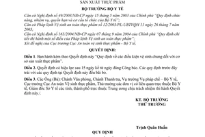 Quyết định 39/2005/QĐ-BYT điều kiện vệ sinh chung đối với cơ sở sản xuất thực phẩm