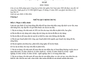 Luật đấu thầu 2005 61/2005/QH11