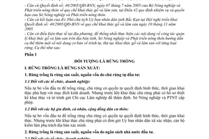 Hướng dẫn 1404/SNN-CCLN thực hiện Quyết định 40/2005/QĐ-BNN quy chế khai thác gỗ