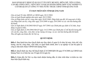Quyết định 81/2005/QĐ-UBND quản lý tổ chức bộ máy, biên chế, tiền lương