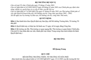 Quyết định 135/2005/QĐ-BNV Quy chế bồi dưỡng Trưởng thôn, Tổ trưởng Tổ dân phố