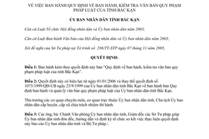 Quyết định 3189/QĐ-UB 2005 Quy định ban hành kiểm tra văn bản quy phạm pháp luật Bắc Kạn