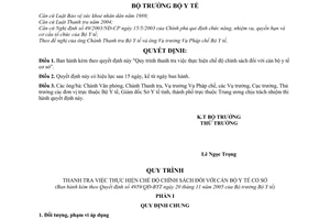 Quyết định 4959/2005/QĐ-BYT Quy trình thanh tra thực hiện chế độ chính sách đối với cán bộ y tế cơ sở