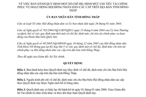 Quyết định 114/2005/QĐ-UBND chi tiêu phục vụ hoạt động hội đồng nhân dân Đồng Tháp