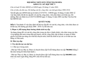 Nghị quyết 29/2005/NQ-HĐND Quy định chế độ trợ cấp đối với cán bộ