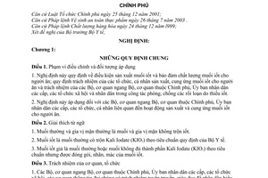 Nghị định 163/2005/NĐ-CP sản xuất và cung ứng muối iốt cho người ăn