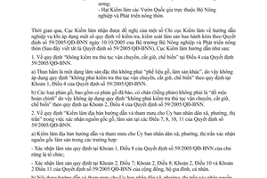 Công văn 33/CV-KL hướng dẫn áp dụng tại Quyết định 59/2005/QĐ-BNN  kiểm tra, kiểm soát lâm sản