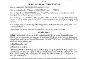 Quyết định 04/2006/QĐ-UBND chế độ đại biểu hội đồng nhân dân Quảng Nam