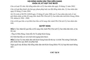 Nghị quyết 14/2006/NQ-HĐND kết quả bầu cử phó chủ tịch ủy ban tỉnh Kiên Giang