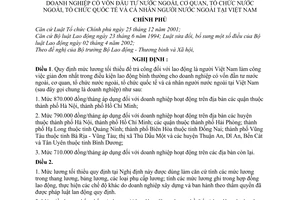 Nghị định 03/2006/NĐ-CP mức lương tối thiểu đối với lao động Việt Nam làm việc cho doanh nghiệp có vốn đầu tư nước ngoài, cơ quan tổ chức cá nhân