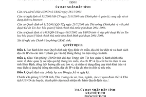Quyết định 05/2006/QĐ-UBND sử dụng tên miền địa chỉ thư điện tử tỉnh Bình Định
