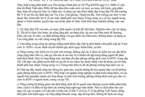 Chỉ thị 01/2006/CT-BYT phục vụ y tế Tết Nguyên đán Bính Tuất 2006