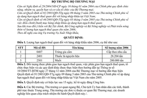 Quyết định  03/2006/QĐ-BTM  lượng hạn ngạch thuế quan hàng nhập khẩu 2006