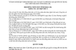 Nghị quyết 09/2006/NQ-HĐND phí đấu giá tài sản quyền sử dụng đất