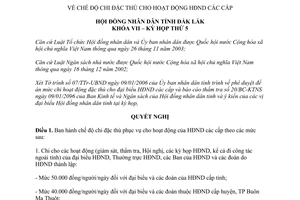 Nghị quyết 13/2006/NQ-HĐND chế độ chi đặc thù cho hoạt động Hội đồng nhân dân